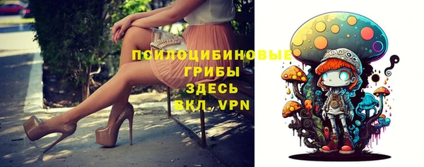 дживик Карпинск