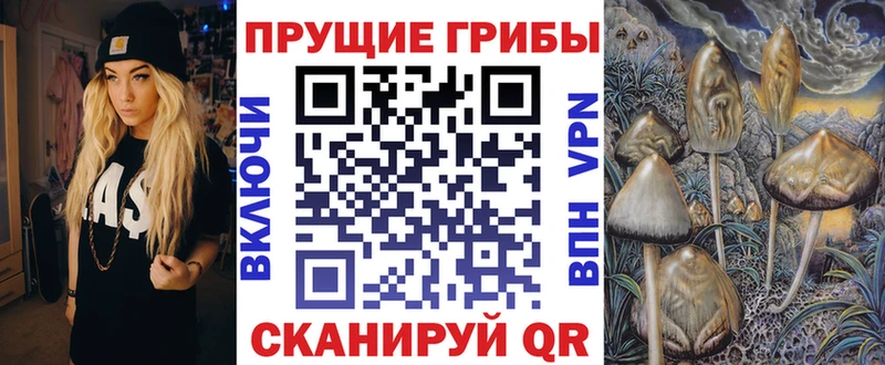 Псилоцибиновые грибы Psilocybe  Елизово 