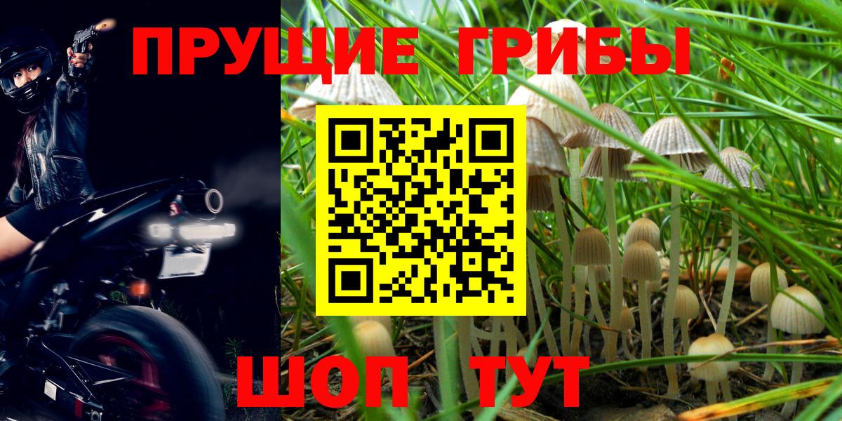 Галлюциногенные грибы Magic Shrooms  Вход с VPN  Елизово 