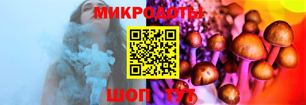 Псилоцибиновые грибы Magic Shrooms Елизово